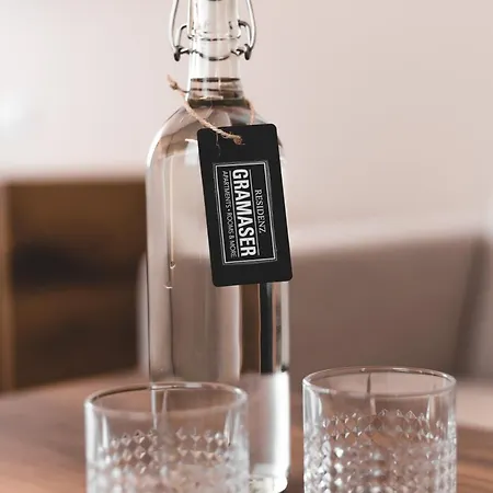 Residenz Gramaser Gmbh アパートホテル イシュグル